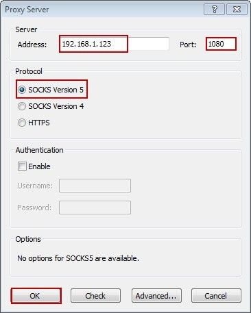 Proxy Server Configuration