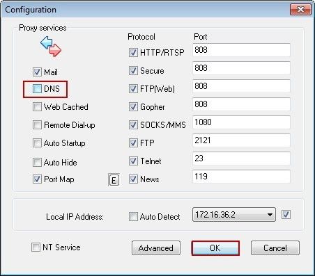 DNS Proxy Services