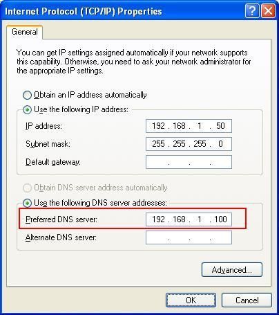 Internet Protocol Properties